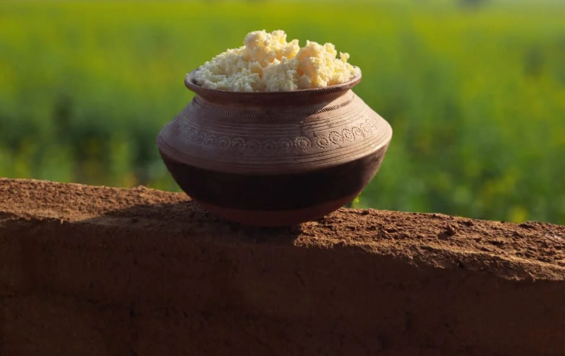 A2 Ghee: Liquid Gold for Your Health