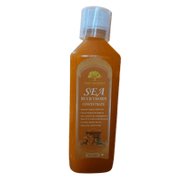 Sea Buckthorn Concentrate – Natural Wellness Booster